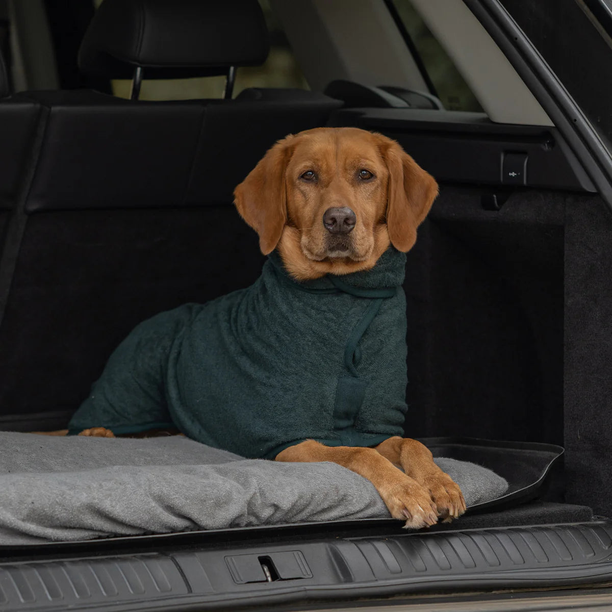 Dog drying coat Forest green